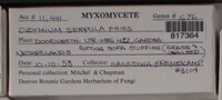 Image Associated With the Occurence